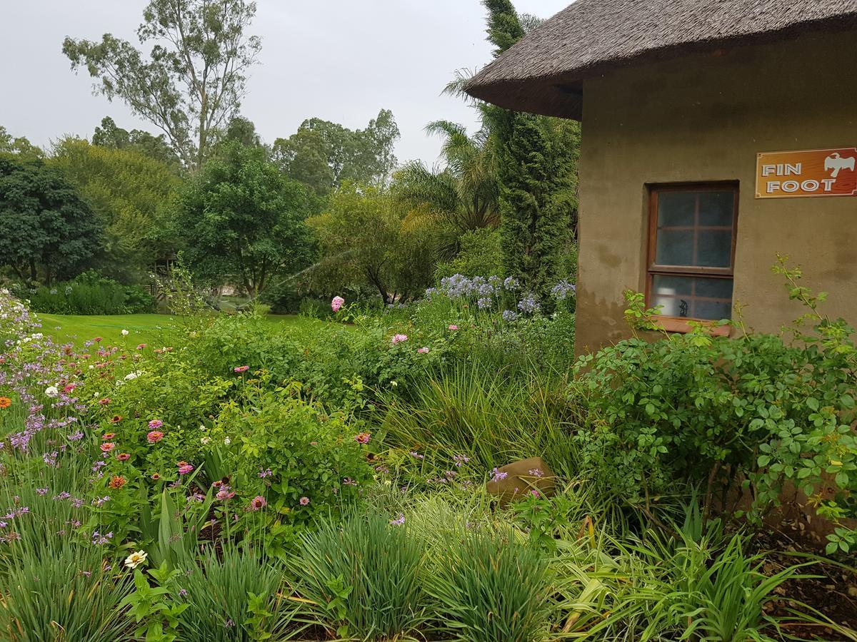 Avoca River Cabins Addo Zewnętrze zdjęcie